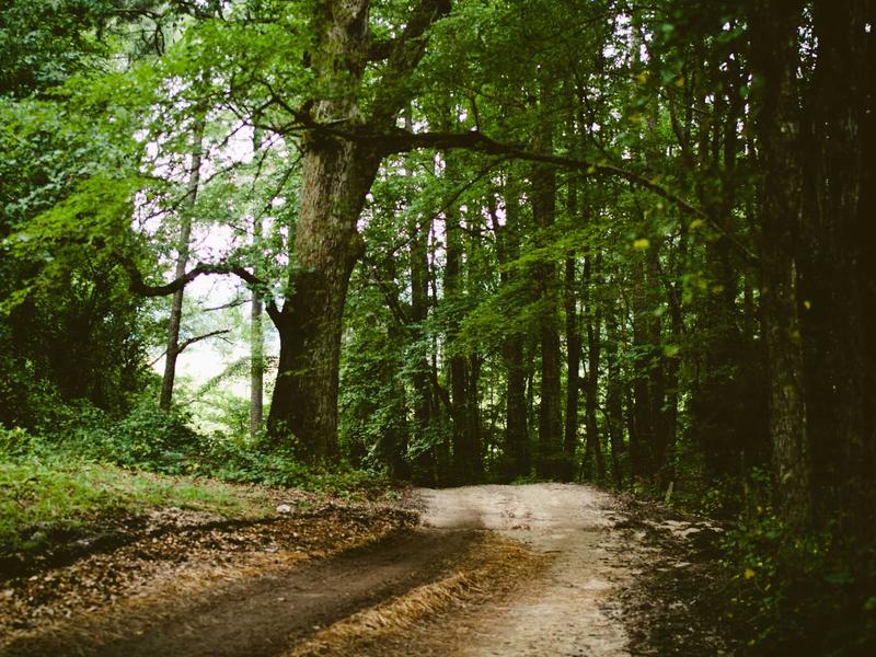 sudoku numbrix screenshot 4