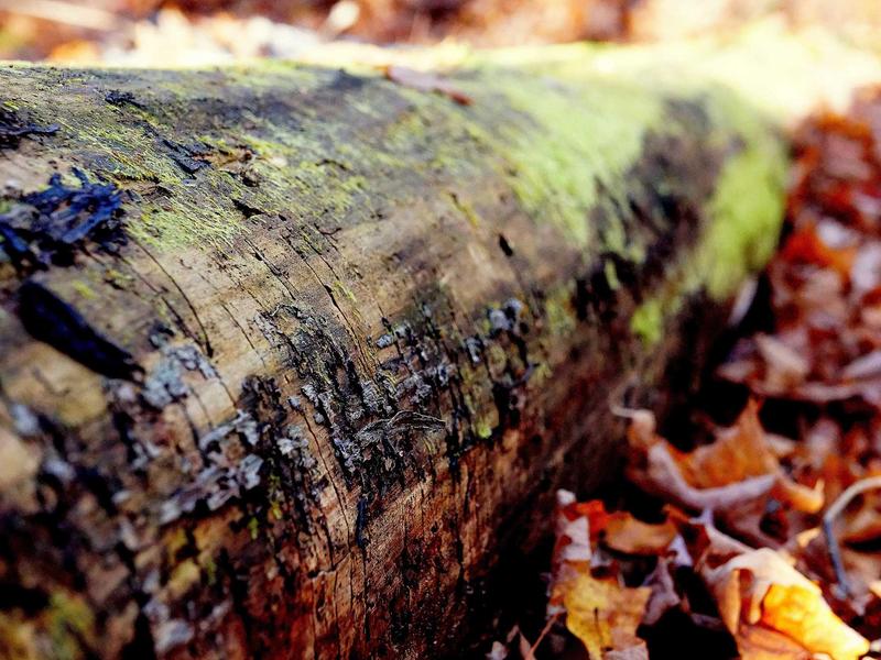 sudoku numbrix screenshot 2